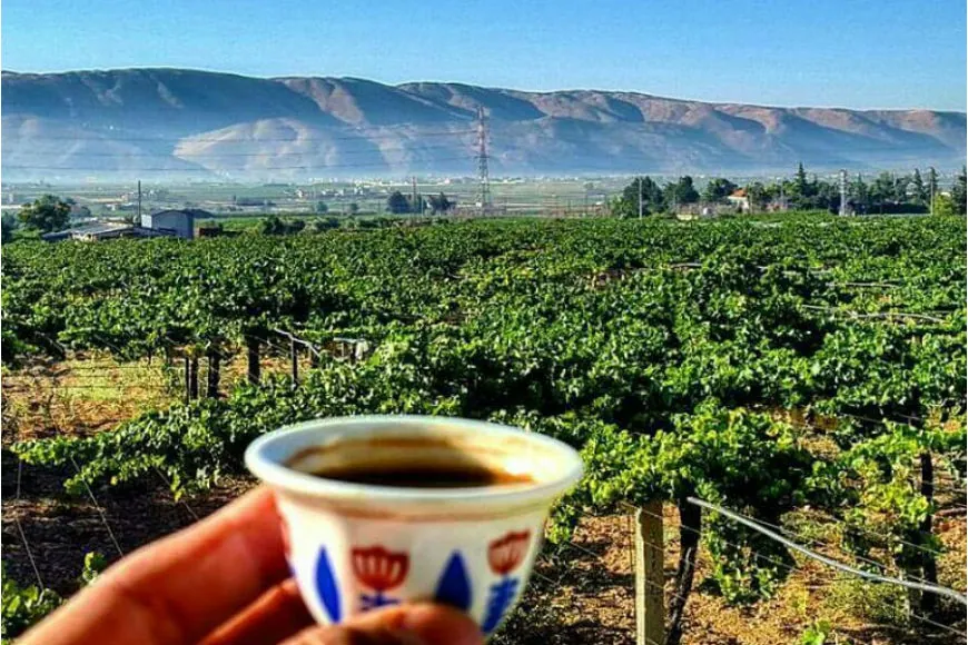 Bekaa