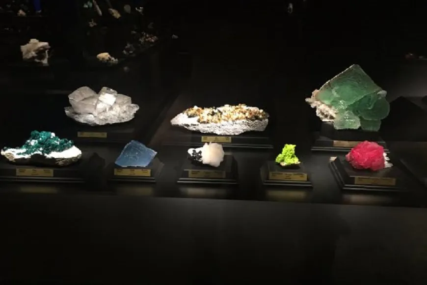 Mineral Museum